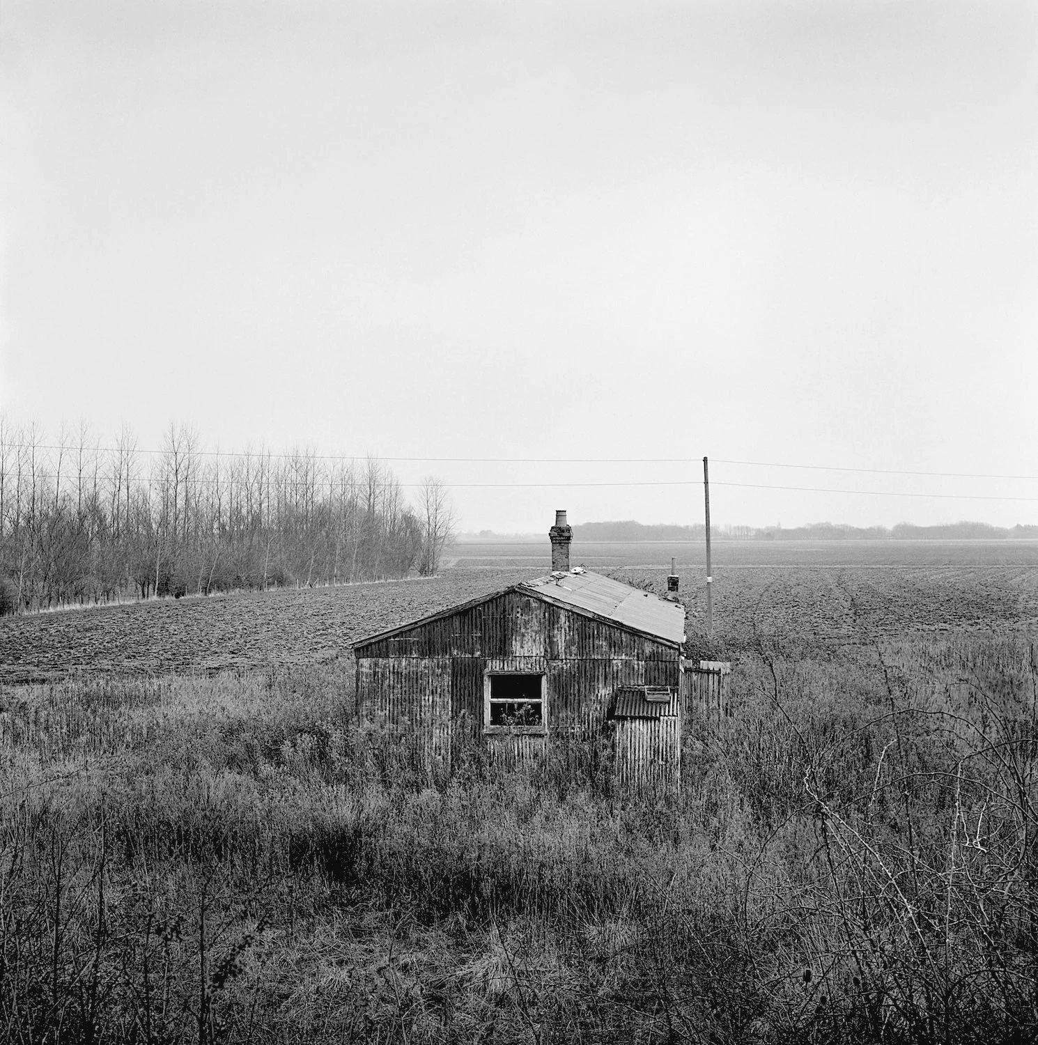 DRAINED — PAUL HART